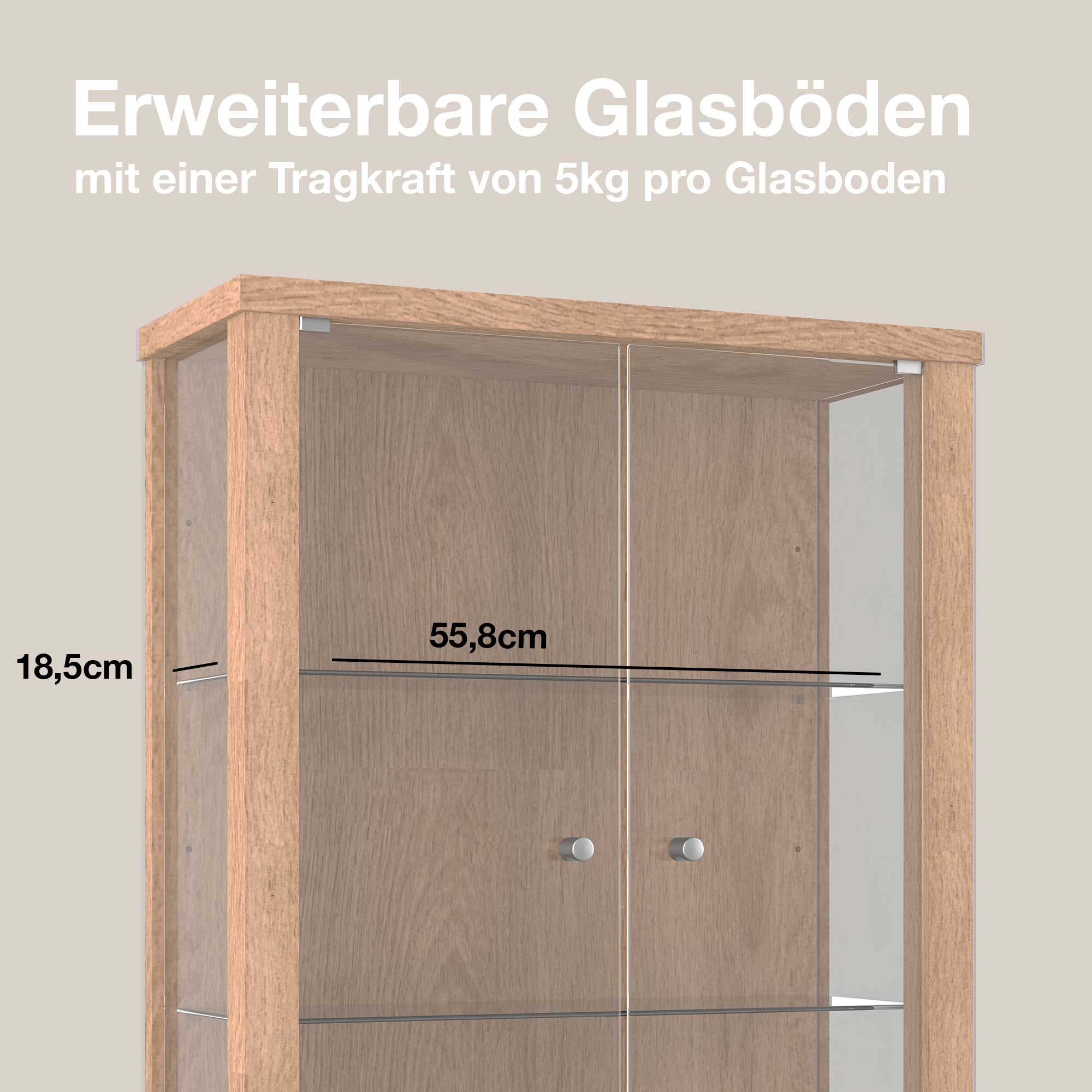 Hängevitrine mit 2 höhenverstellbaren Glasböden